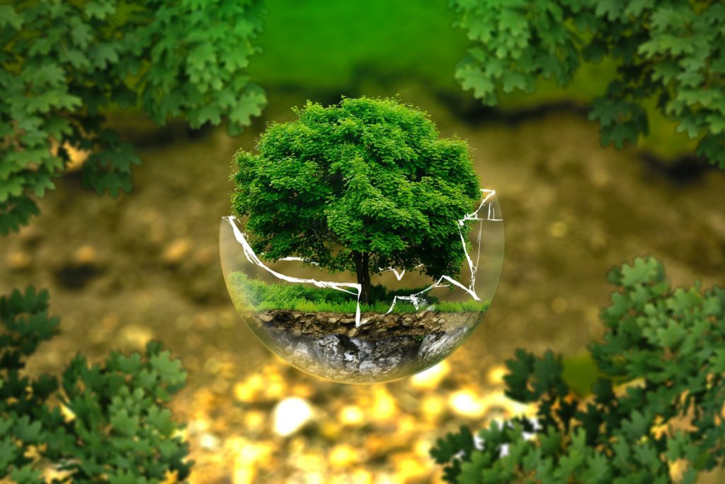 Why Organic is the best choice (Convert the Critic with Organic benefits)!