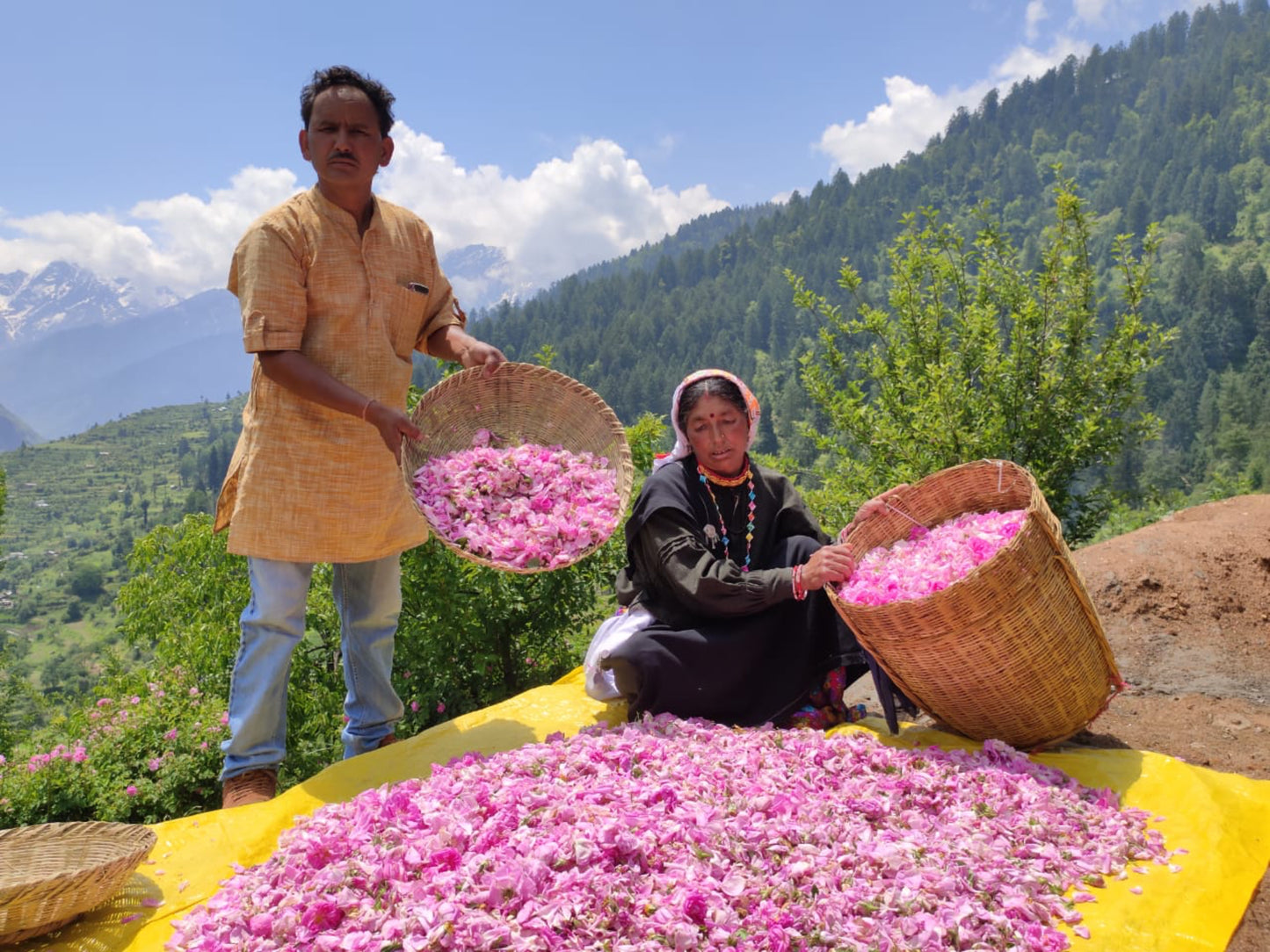 Nim-Véda Australia Certified Organic Food Grade Rose Water -150 mls