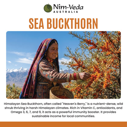 NIMVEDA SEABUCKTHRON HYDRATING OIL WITH MORINGA OIL